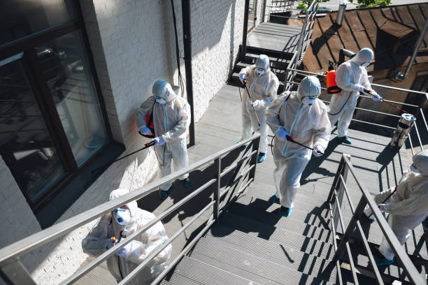 Best Asbestos and Lead Testing During Mold Inspection  in Eleele, HI