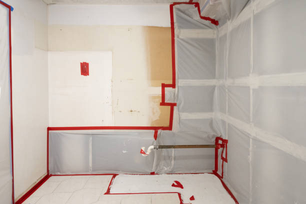 Best Crawl Space Mold Remediation  in Eleele, HI