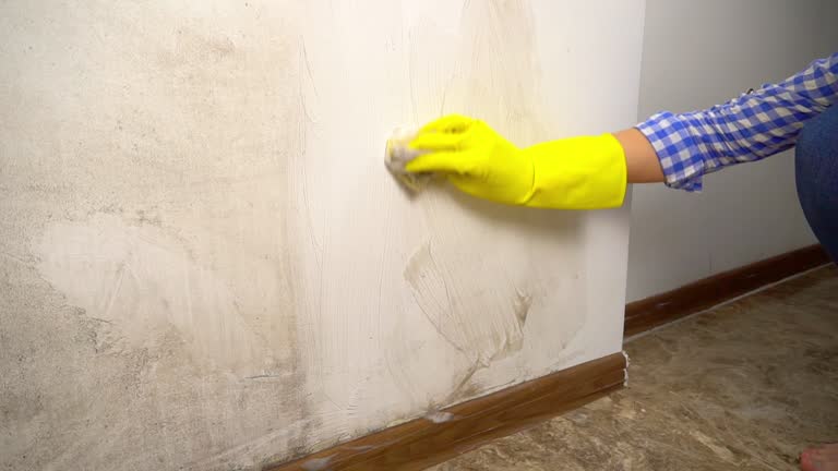 Best Mold Removal for HVAC Installations  in Eleele, HI