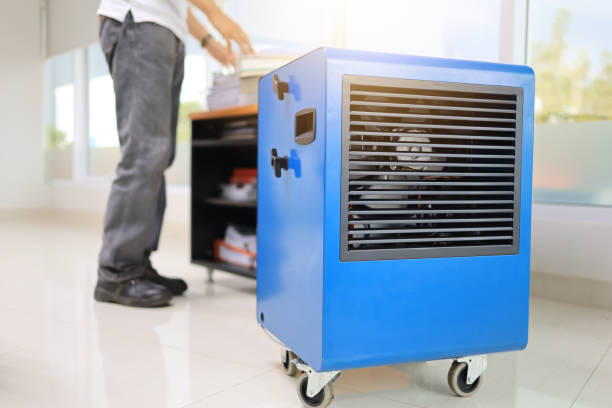Best Mold Odor Removal Services  in Eleele, HI