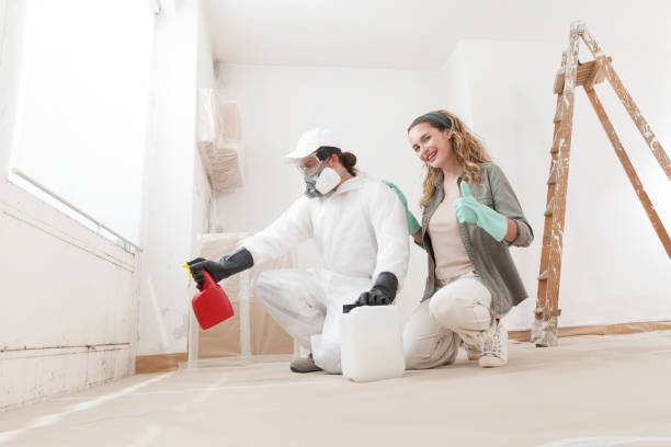 Dehumidification Services in Eleele, HI