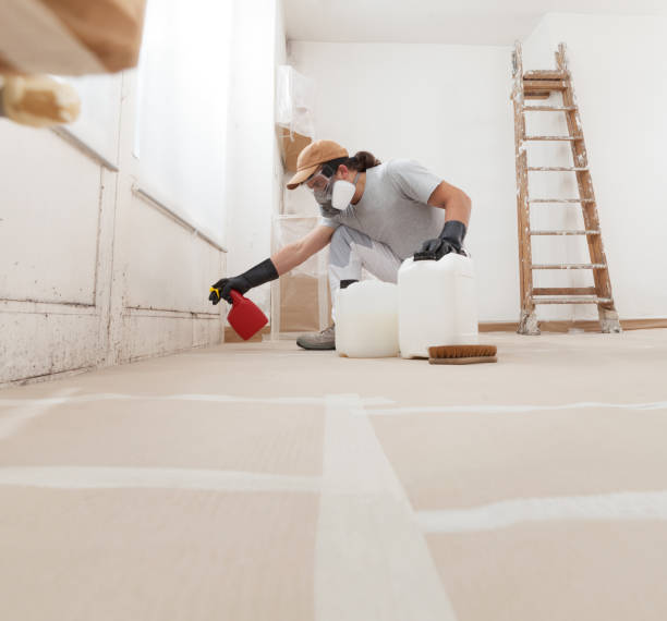 Best Water Damage & Mold Remediation  in Eleele, HI